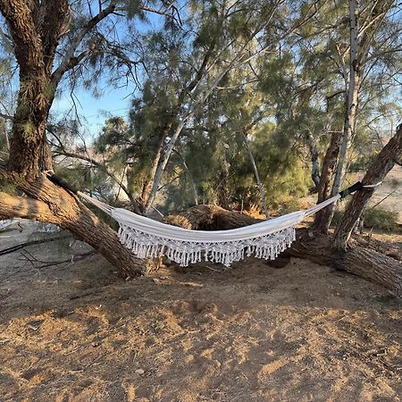 Casa Agave: Comfy Joshua Tree Cottage With Free Breakfast Bar מראה חיצוני תמונה