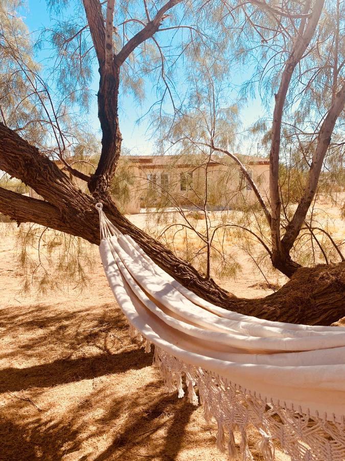Casa Agave: Comfy Joshua Tree Cottage With Free Breakfast Bar מראה חיצוני תמונה
