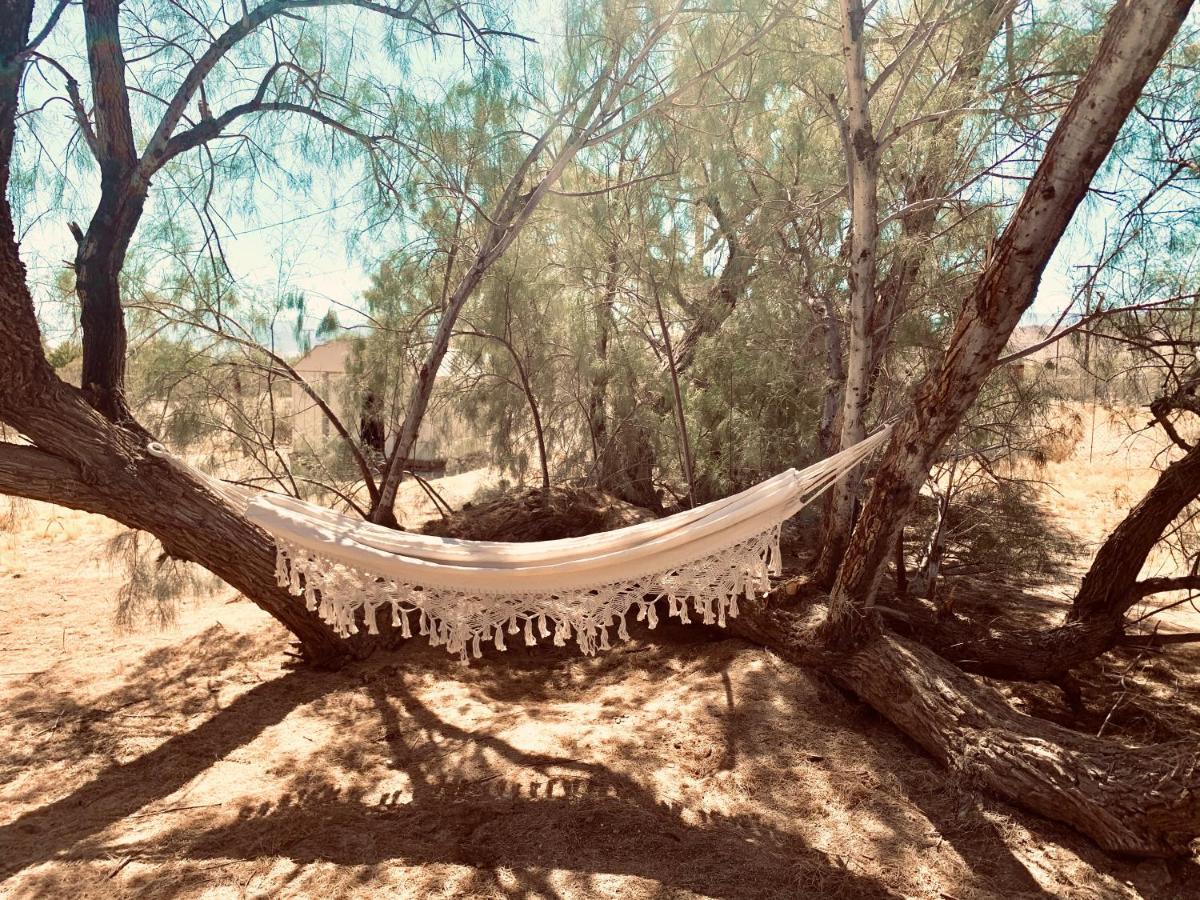 Casa Agave: Comfy Joshua Tree Cottage With Free Breakfast Bar מראה חיצוני תמונה