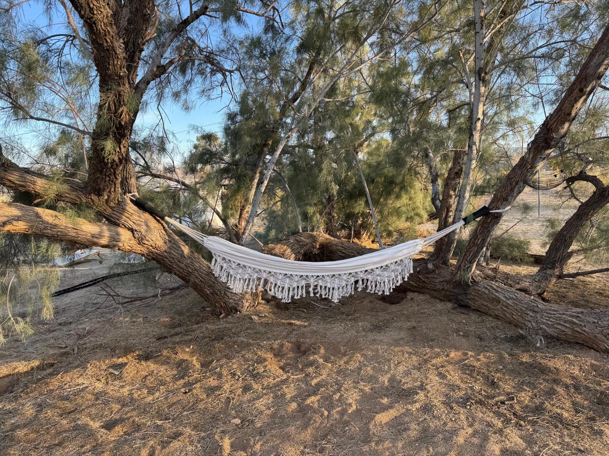 Casa Agave: Comfy Joshua Tree Cottage With Free Breakfast Bar מראה חיצוני תמונה
